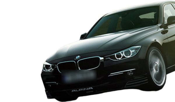 Альпина Д3